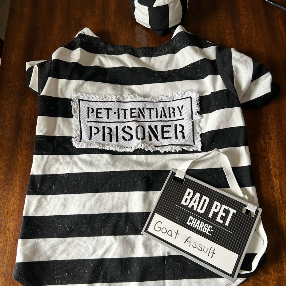 Striped Pet Costume with Hat